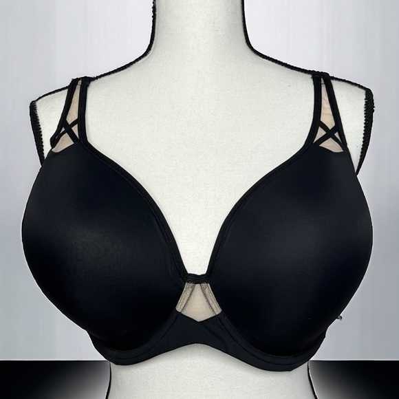 Paramour by Felina Amaranth Full Figure Perfect Coverage T-Shirt Bra | 40DDD - Picture 1 of 16